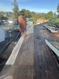 Petaluma Rescue