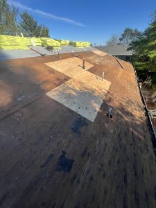 Petaluma Rescue