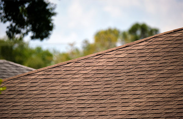 Shingles